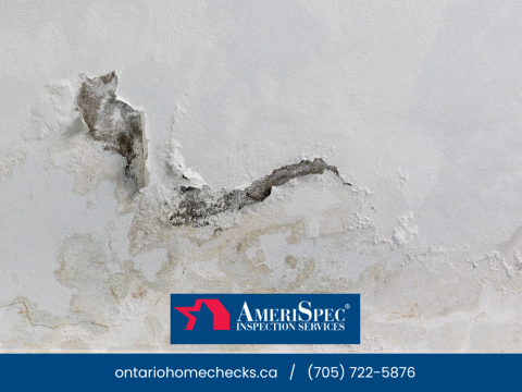 Wall moisture damage and mold growth Barrie ON home inspection AmeriSpec