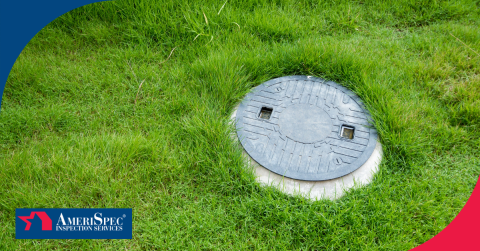 Septic tank access cover surrounded by green grass