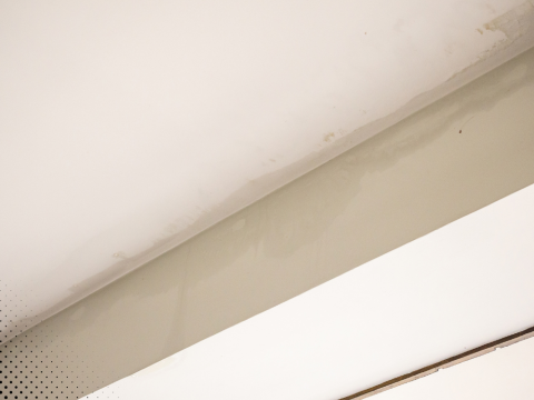 Ceiling water stains and moisture intrusion Barrie ON home inspection Ontario