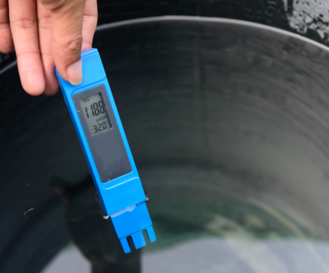 Water Conductivity Testing
