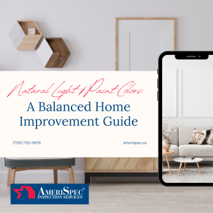 Natural Light & Paint Colors: A Balanced Home Improvement Guide