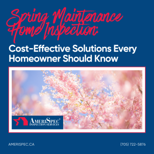 Spring Maintenance Home Inspection: Cost-Effective Solutions Every Homeowner Should Know